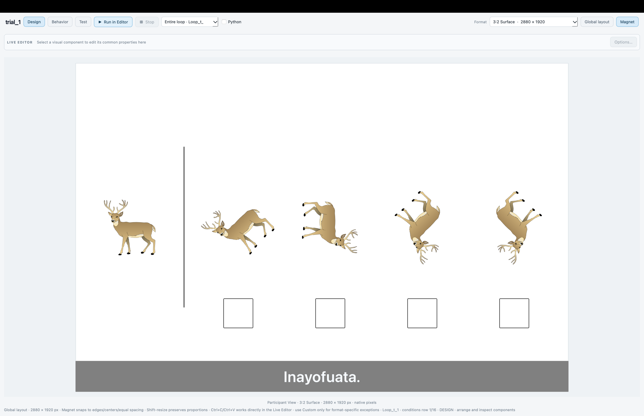 The deer mental-rotation trial in SIGMA Builder Live Editor using the 3:2 Surface profile at 2880 × 1920, with rotated image choices and response boxes.