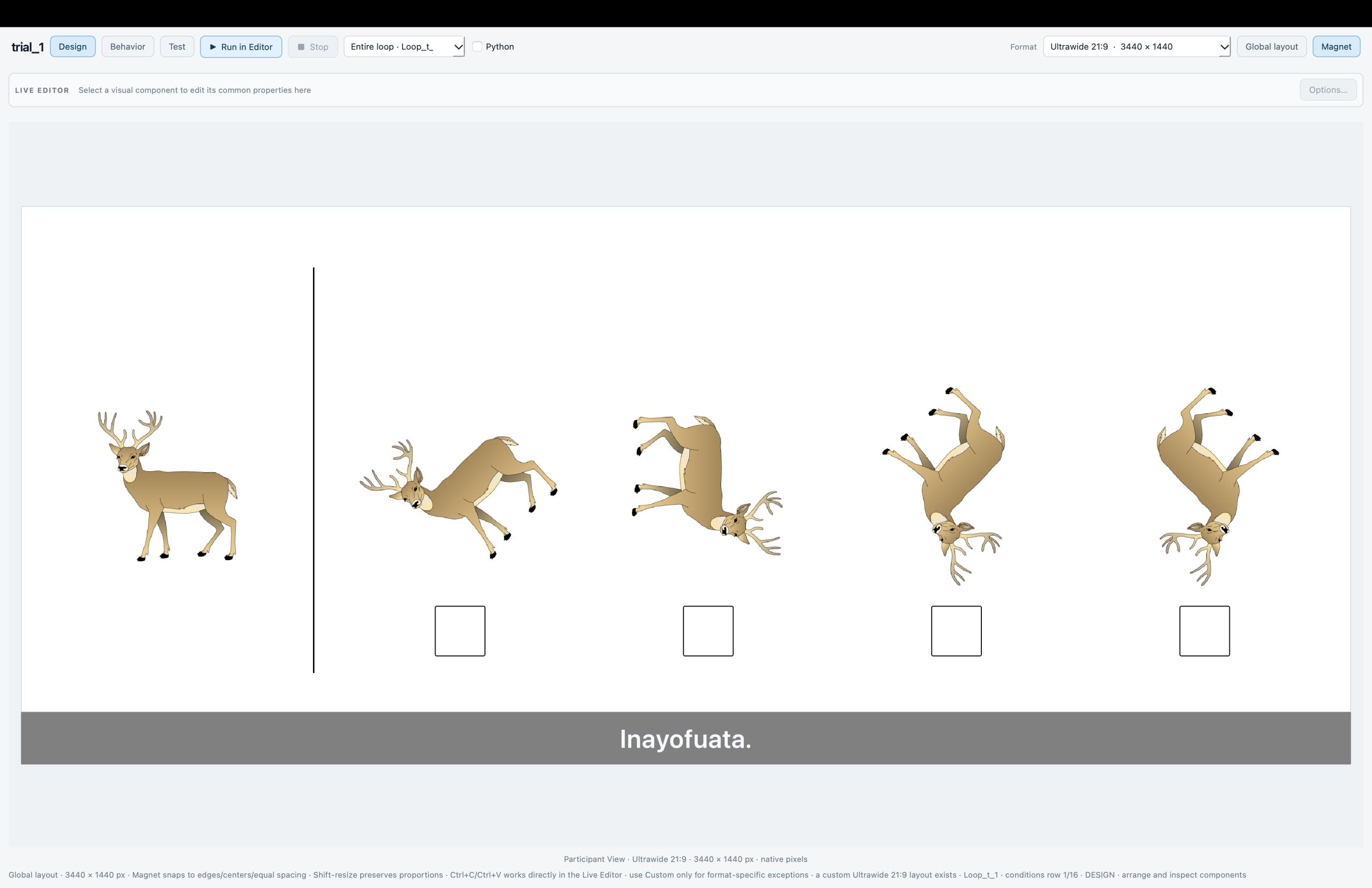 The same deer mental-rotation trial in SIGMA Builder Live Editor using the Ultrawide 21:9 profile at 3440 × 1440, with rotated image choices and response boxes.