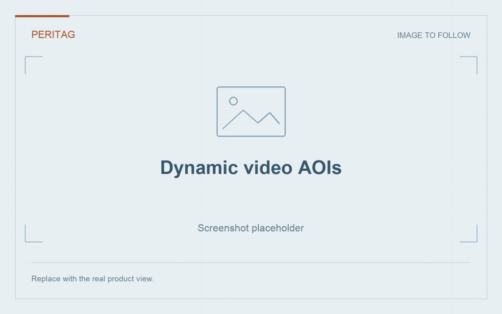 Screenshot placeholder: Dynamic video AOIs